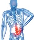 Comparison of Efficacy of Neural Therapy and Physical Therapy in Chronic Low Back Pain